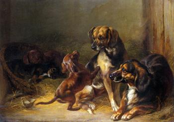 Benno Adam : Dogs and Whelps